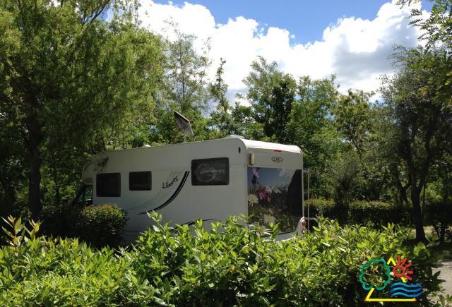 Camper immerso nel verde con cielo sereno.